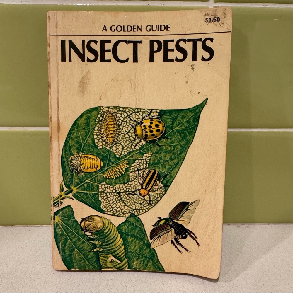 Vintage "Insect Pests" A Golden Guide Paperback Book